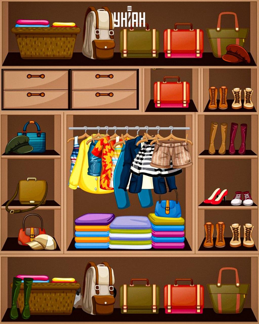 Necessità di trovare un gatto astuto / collage Moje