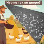 Bisogna trovare un grosso errore in un'aia in 5 secondi: