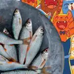 Cercare un pesce tra i gatti: un divertente rompicapo per