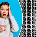 Dove sono nascosti 86 e 35: solo i più attenti