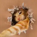 Qto è geniale il vostro gatto: un facile test del