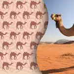 Solo gli Sherlock Holmes dei giorni nostri troveranno lo strano