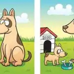 Test del QI: dovete trovare 5 differenze tra la foto