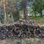 Un rompicapo per i più allegri e intraprendenti: bisogna trovare